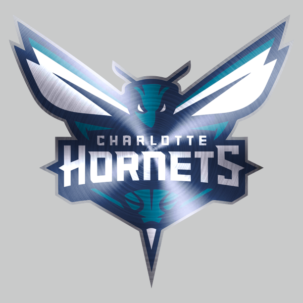 Charlotte Hornets Stainless steel logo vinyl decal